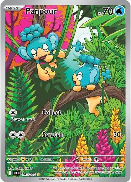 Panpour - 101/086 - Illustration Rare - Black Bolt