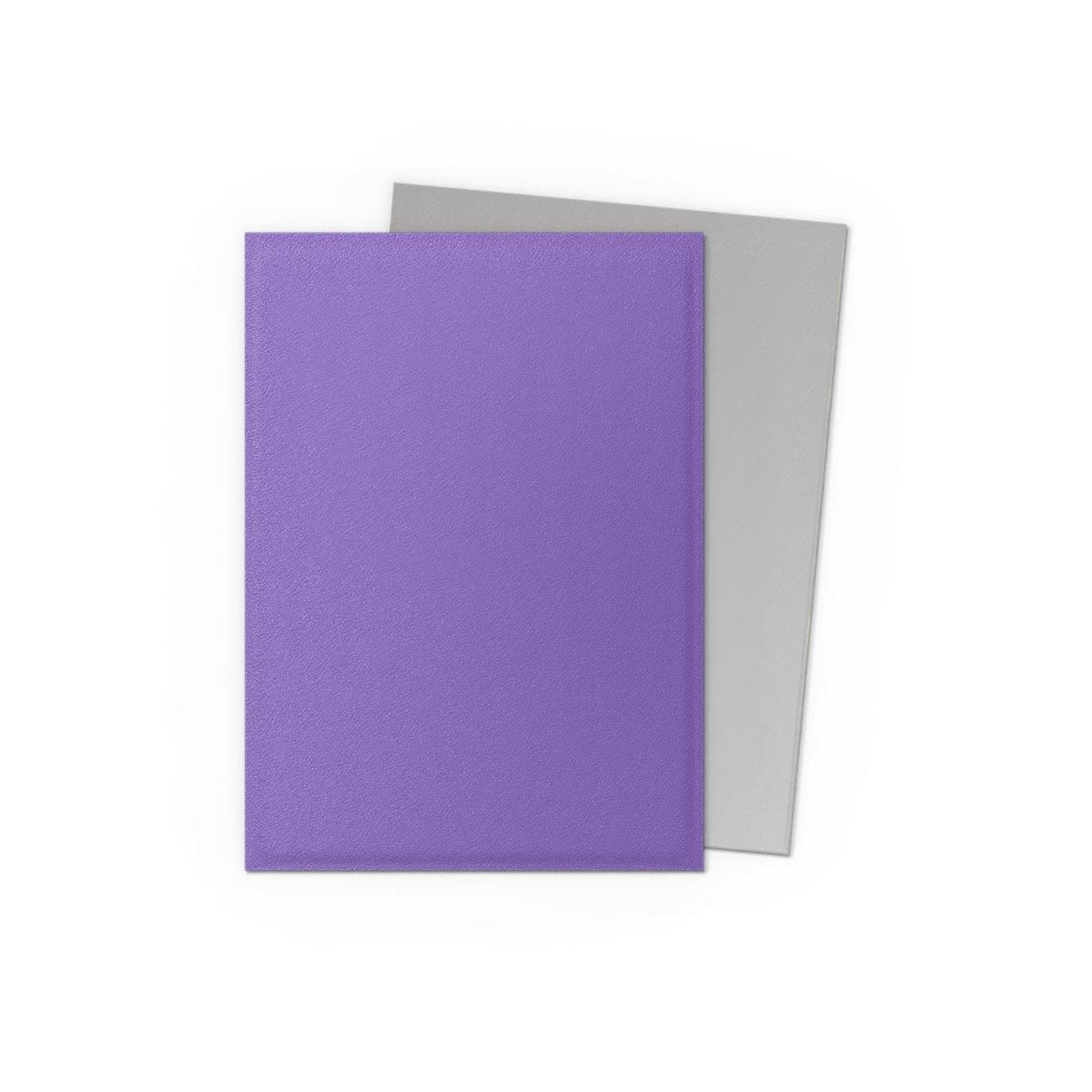 Dragon Shield Sleeves: Standard Matte Dual - Nebula & Silver